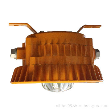 30W EXPLOSION PROOF LIGHT